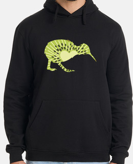 kiwi bird new zealand flightless bird
