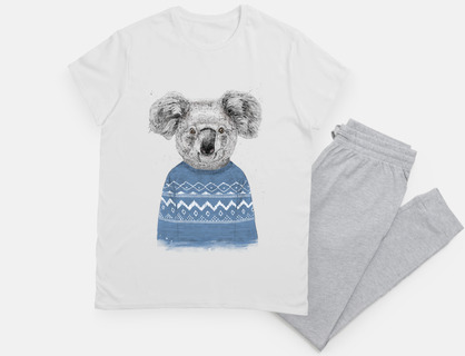 koala de invierno