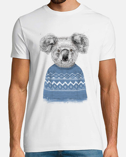 koala de invierno