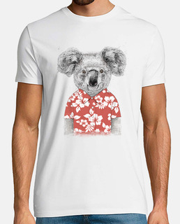 koala de verano