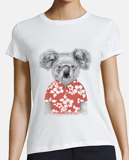 koala de verano