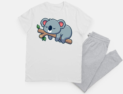 koala on a branch