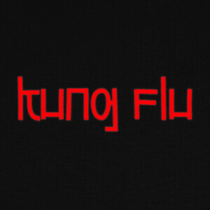 Camisetas Kung Flu