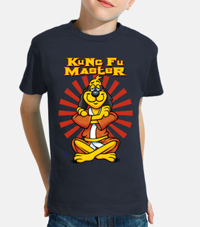 Kung fu master