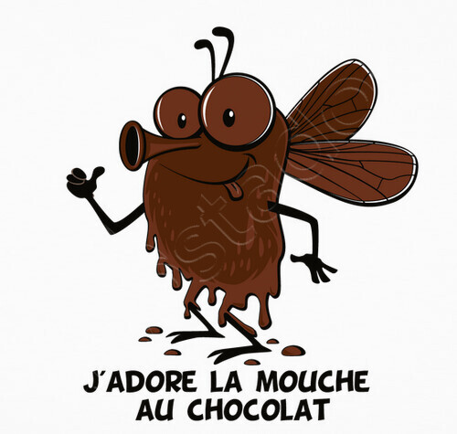 Mouche au chocolat https://www.tostadora.fr/bibine/la_mouche_au_chocolat/1219553