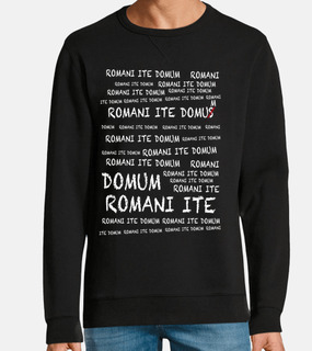 la vita di brian: romani ite domum