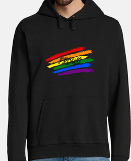 lgbtq lgbt arcobaleno bisessuale gay