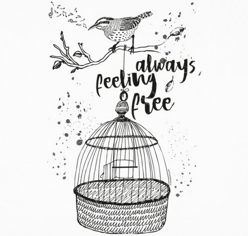 freedom bird t shirt