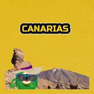 Camisetas Little Traveler Canarias
