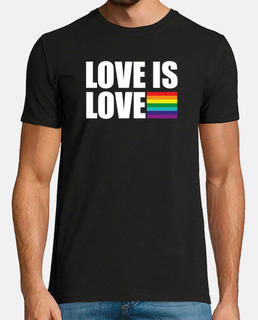 love is love gay pride lgtb