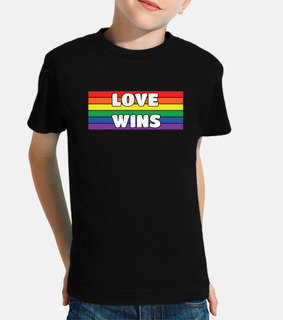 Love Wins Equality LGBT Rainbow Gay