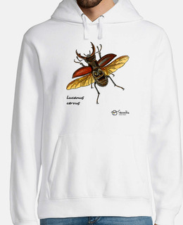 lucanus cervus