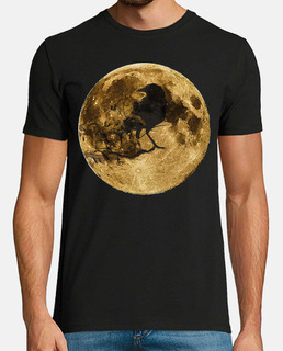 Luna llena y cuervo