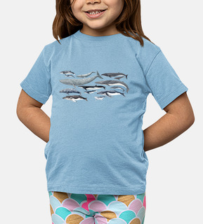 magliette balene ragazza bambino, megattere e balenottere