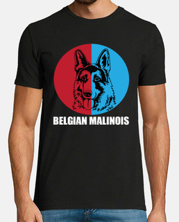 malinois belge