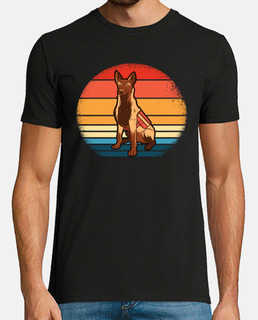 malinois belge