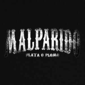 Playeras MALPARIDO