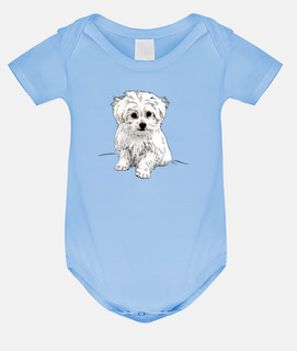 maltese bichon
