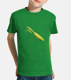 Mantis