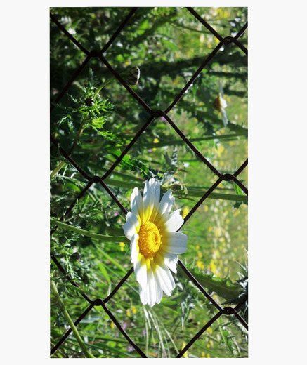 coque iphone xs max marguerite