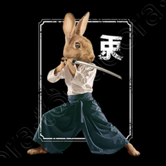 Karate Bunny