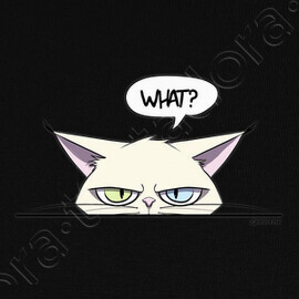 Masque Chat Blanc Grincheux Tostadora Masque Chat Blanc Grincheux Tostadora