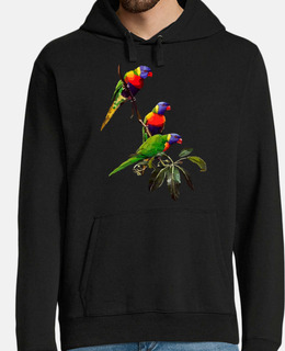 Men, hoodie, black