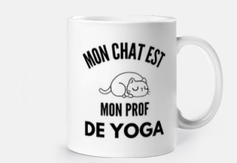 mi gato es mi profesor de yoga