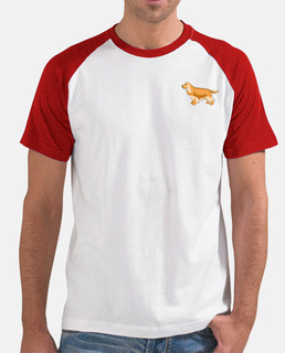 minimalist cocker spaniel, male baseball player