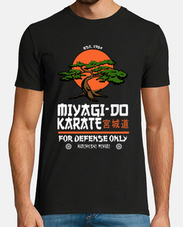 miyagi-do karate