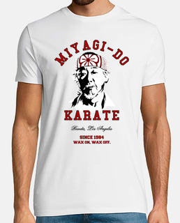Miyagi-Do Karate - Karate Kid