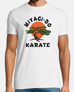 Miyagi-Do Karate (Karate Kid)