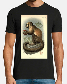 Monkey Vintage Print