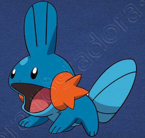 Image result for mudkips