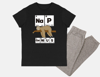 nap genius sloth