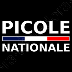 Tee shirt picole discount national