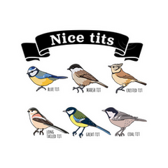  I like tits  Funny Gift for Bird watching