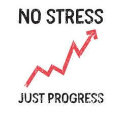 no stress just progress stress