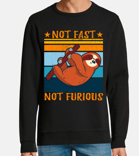 non veloce non furioso bradipo