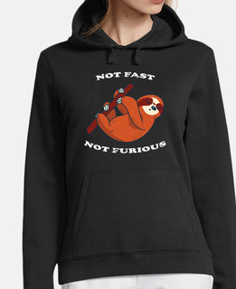 Not Fast Not Furious Sloth