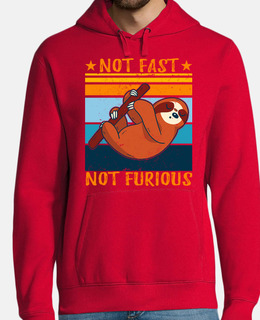 Not Fast Not Furious Sloth