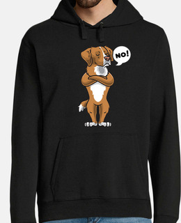 nova scotia duck tolling retriever