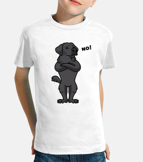 obstinado perro labrador retriever negr