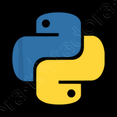 Official Python Logo For Developers T-Shirt Official Python Logo For Developers T-Shirt
