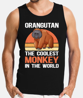 Orangutan Coolest Monkey Orangutans