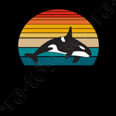 Orca whale gifts kids t-shirt