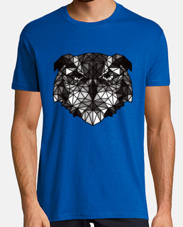 owl bw