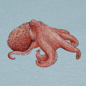 Playeras Pacific octopus