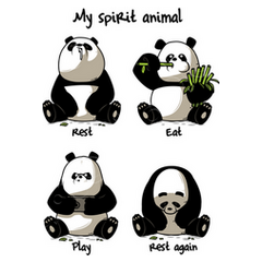 Panda spirit animal t-shirt | tostadora