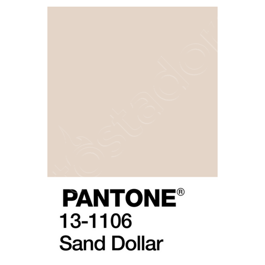 Cuadro Pantone 13 1106 Tcx Latostadora